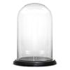 Clear Glass Cloche Dome with Black Wood Base D-13" H-20" - Pack of 1 PC - Modern Vase and Gift