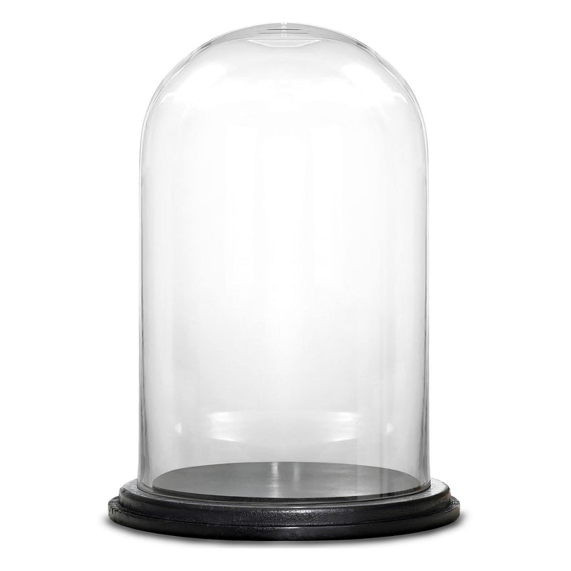 Clear Glass Cloche Dome with Black Wood Base D-13" H-20" - Pack of 1 PC - Modern Vase and Gift