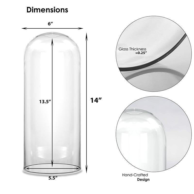 Clear Glass Cloche Dome D-6" H-14" - Pack of 4 PCS - Modern Vase and Gift