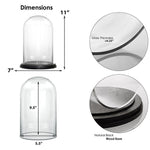 Clear Glass Cloche Dome with Black Wood Base D-7" H-11" - Pack of 4 PCS - Modern Vase and Gift