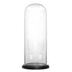 Clear Glass Cloche Dome with Black Wood Base D-10" H-22" - Pack of 1 PC - Modern Vase and Gift
