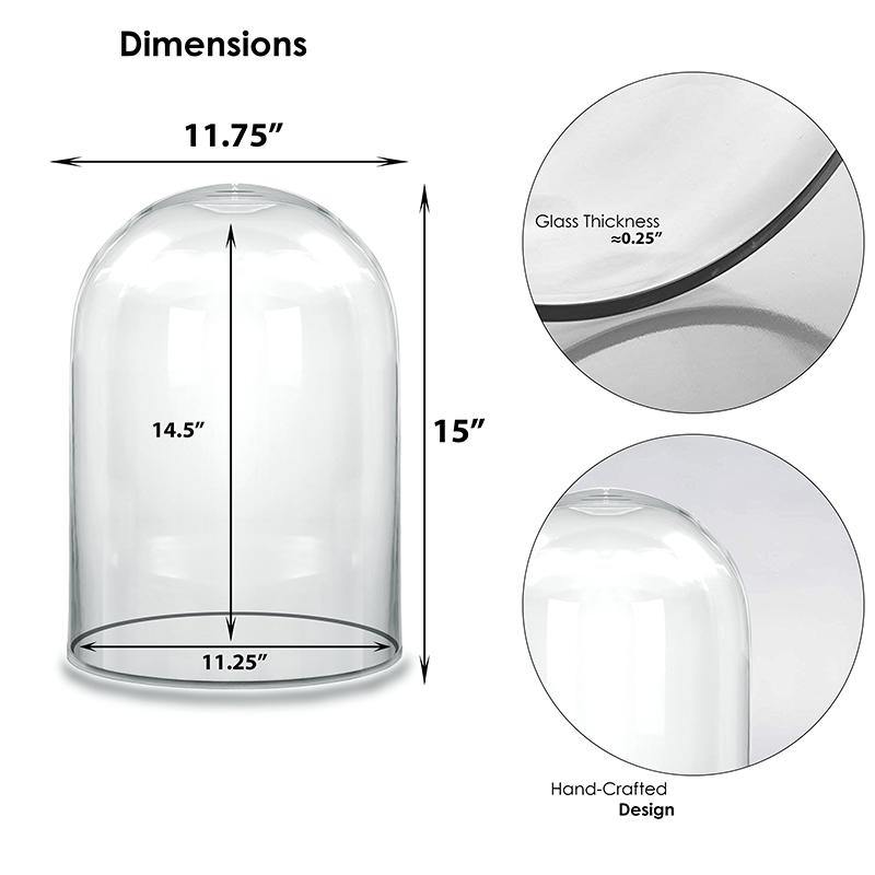 Clear Glass Cloche Dome D-12" H-15" - Pack of 1 PC - Modern Vase and Gift