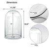 Clear Glass Cloche Dome D-12" H-19.5" - Pack of 1 PC - Modern Vase and Gift
