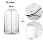Clear Glass Cloche Dome D-12" H-19.5" - Pack of 1 PC - Modern Vase and Gift