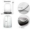 Clear Glass Cloche Dome with Black Wood Base D-13" H-16.5" - Pack of 1 PC - Modern Vase and Gift