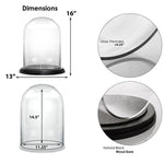 Clear Glass Cloche Dome with Black Wood Base D-13" H-16.5" - Pack of 1 PC - Modern Vase and Gift