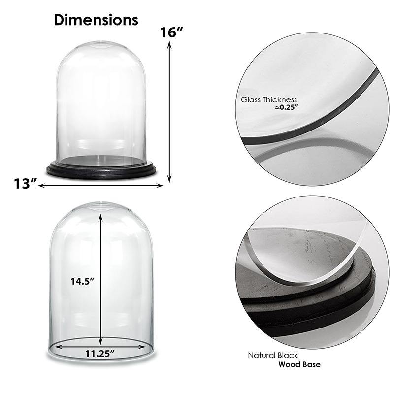 Clear Glass Cloche Dome with Black Wood Base D-13" H-16.5" - Pack of 1 PC - Modern Vase and Gift