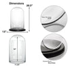 Clear Glass Cloche Dome with Black Wood Base D-13" H-20" - Pack of 1 PC - Modern Vase and Gift