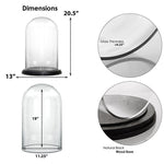 Clear Glass Cloche Dome with Black Wood Base D-13" H-20" - Pack of 1 PC - Modern Vase and Gift