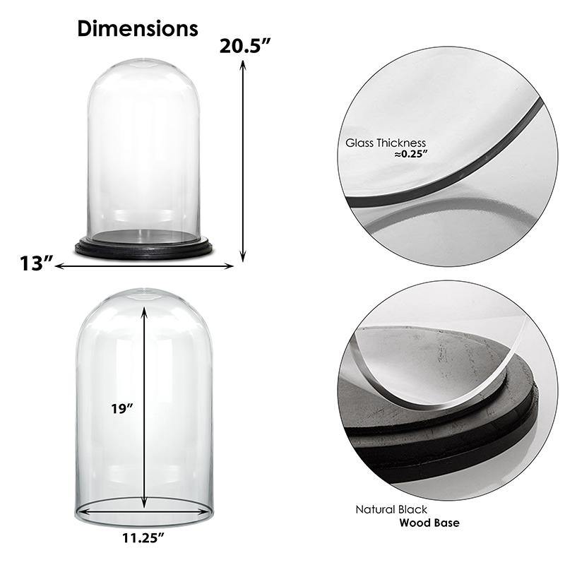 Clear Glass Cloche Dome with Black Wood Base D-13" H-20" - Pack of 1 PC - Modern Vase and Gift