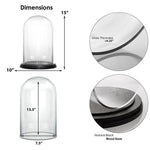 Clear Glass Cloche Dome with Black Wood Base D-9.5" H-15" - Pack of 1 PC - Modern Vase and Gift