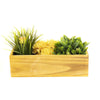 Unfinished Wooden Rectangle Plant Box with Plastic Liner O-13"X5" H-4" - Pack of 12 PCS - Modern Vase and Gift