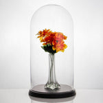 Clear Glass Cloche Dome with Black Wood Base D-11" H-20" - Pack of 1 PC - Modern Vase and Gift