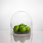 Clear Glass Cloche Dome D-12" H-12" - Pack of 1 PC - Modern Vase and Gift
