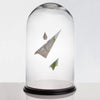 Clear Glass Cloche Dome with Black Wood Base D-13" H-20" - Pack of 1 PC - Modern Vase and Gift