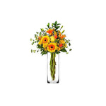 Clear Glass Cylinder Vase D-4" H-12" - Pack of 4 PCS - Modern Vase and Gift