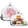 Pack of 2 PCS Clear Glass Cloche Bell Jar with Glass Plate D-8" H-7.5"