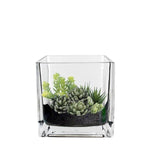 Clear Glass Cube Vase Sides-4.75" - Pack of 12 PCS - Modern Vase and Gift