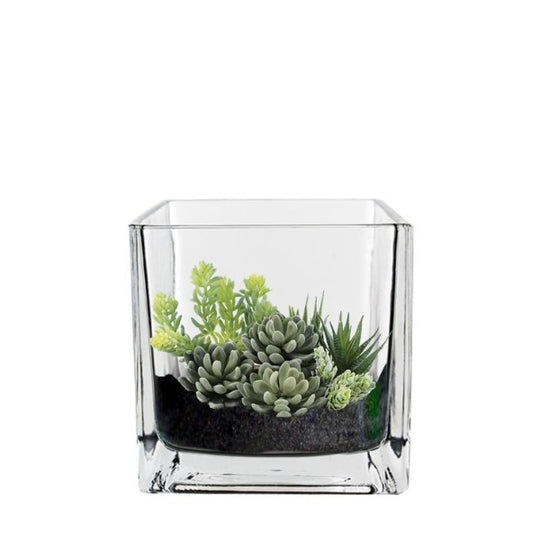 12 PCS Clear Glass Cube Vase Sides-4"