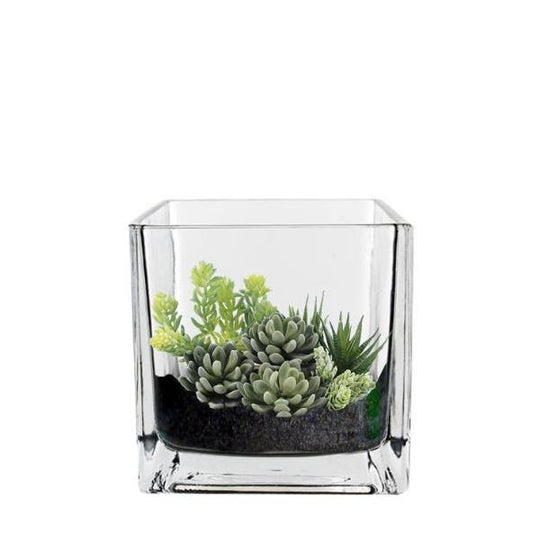6 PCS Clear Glass Cube Vase Sides-4.75"