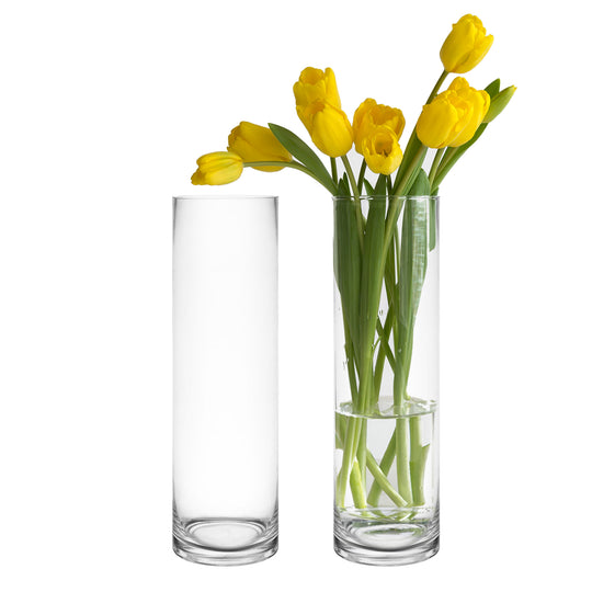 6 PCS Clear Glass Cylinder Vase D-4" H-14"