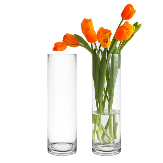 6 PCS Clear Glass Cylinder Vase D-4" H-16"