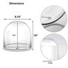 Clear Glass Cloche Dome D-10" H-10" - Pack of 1 PC - Modern Vase and Gift