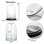 Clear Glass Cloche Dome with Black Wood Base D-11" H-16" - Pack of 1 PC - Modern Vase and Gift