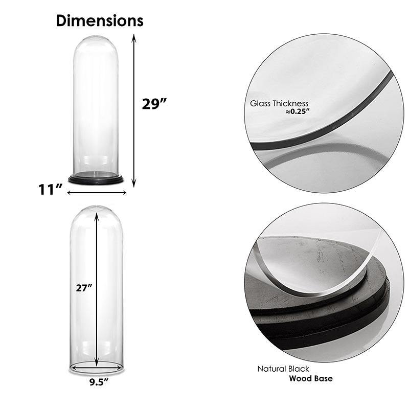 Clear Glass Cloche Dome with Black Wood Base D-11" H-28.5" - Pack of 1 PC - Modern Vase and Gift
