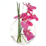 Pack of 4 PCS Clear Glass Moon Shaped Oval Flat Display Bowl Vase H-7.5" W-9.25"