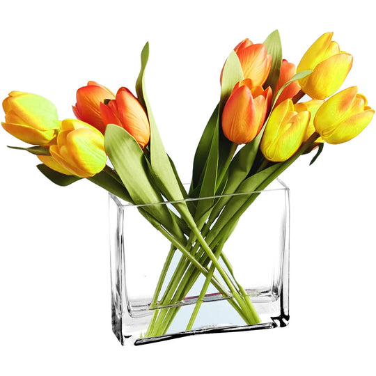 Pack of 6 PCS Clear Glass Rectangle Vase O-8"X2.4" H-8"
