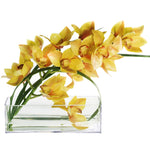 Clear Glass Rectangle Vase O-12"X4" H-4" - Pack of 6 PCS - Modern Vase and Gift