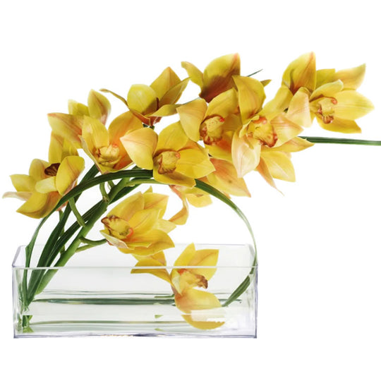 6 PCS Clear Glass Rectangle Vase O-12"X4" H-4"