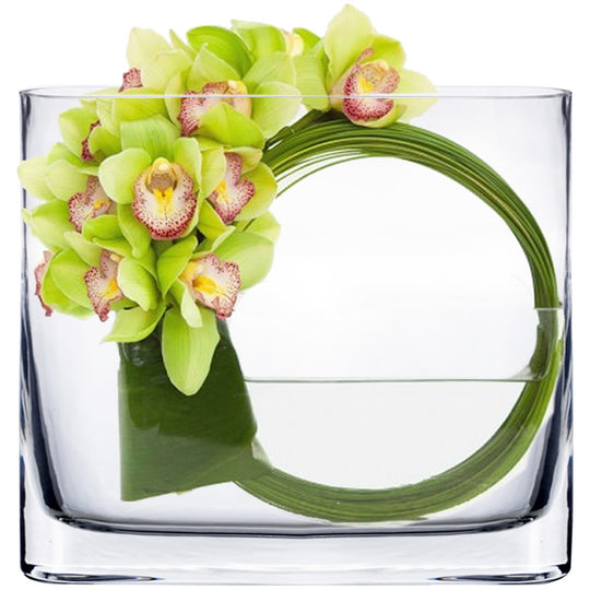 6 PCS Clear Glass Thin Oval Round Rectangle Vase O-7"X1.75" H-6"