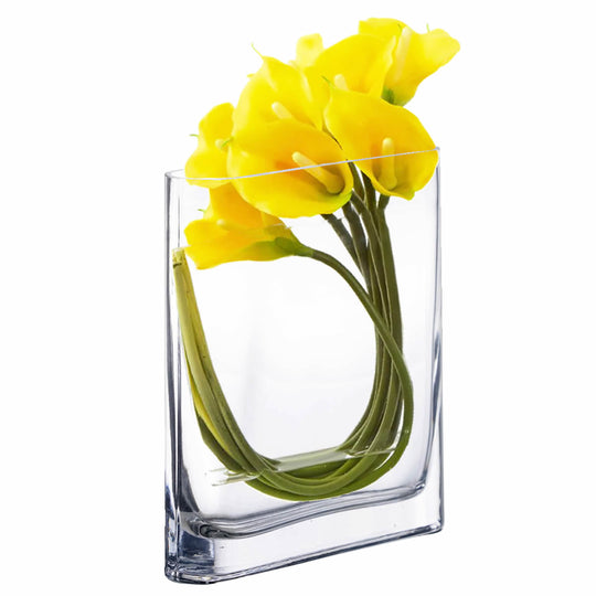 6 PCS Clear Glass Thin Oval Round Rectangle Vase O-7"X1.75" H-8"