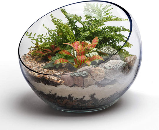 2 PCS Clear Glass Slant Pod O-10" H-11"