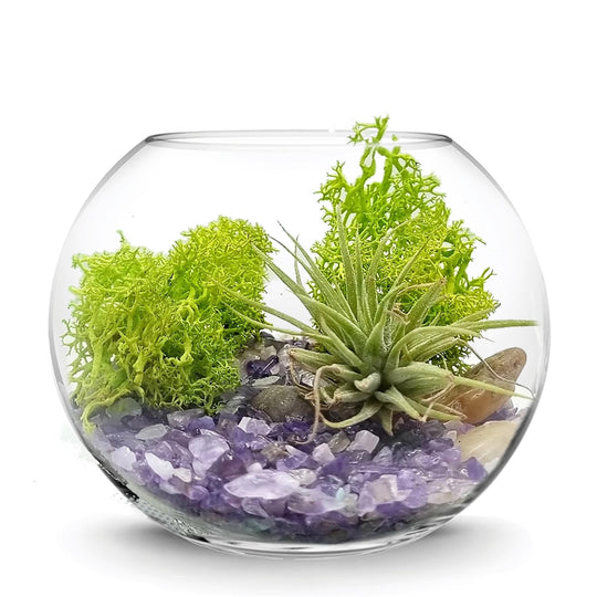 4 PCS Clear Glass Bubble Bowl H-6" O-6" D-8"