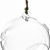 Clear Glass Hanging Orbs D-4" H-4.5" - Pack of 48 PCS - Modern Vase and Gift
