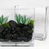 Clear Glass Rectangle Vase O-8"X2.4" H-8" - Pack of 6 PCS - Modern Vase and Gift
