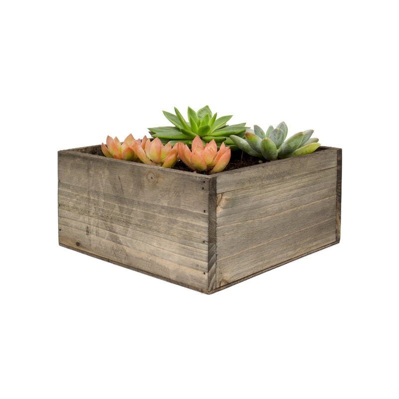 Natural Wooden Square Plant Box with Plastic Liner O-8" H-4" - Pack of 12 PCS - Modern Vase and Gift