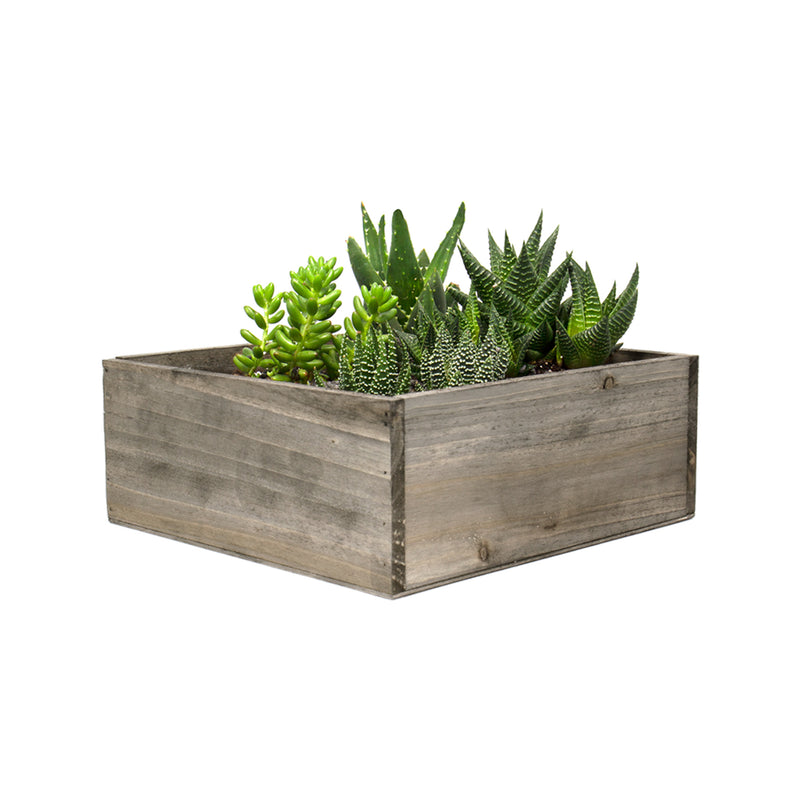 Natural Wooden Square Plant Box with Plastic Liner O-10" H-4" - Pack of 6 PCS - Modern Vase and Gift