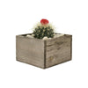 Natural Wooden Square Plant Box with Plastic Liner O-6" H-4" - Pack of 24 PCS - Modern Vase and Gift
