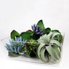 Clear Glass Square Vase O-14" H-5" - Pack of 2 PCS - Modern Vase and Gift